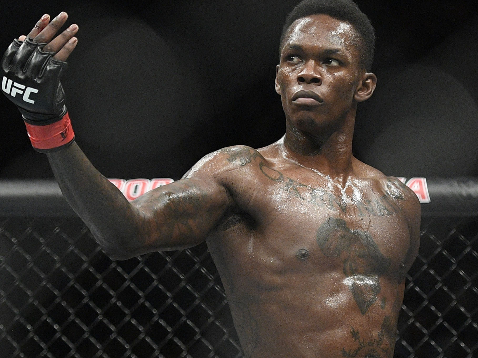 Israel Adesanya Israel Mobolaji Temitayo Odunayo Oluwafemi Owolabi Adesanya (born 22 July 1989) is a Nigerian-born New Zealand professional mixed martial artist, and ...